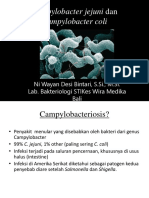 Campylobacter Jejuni Dan Campylobacter Coli
