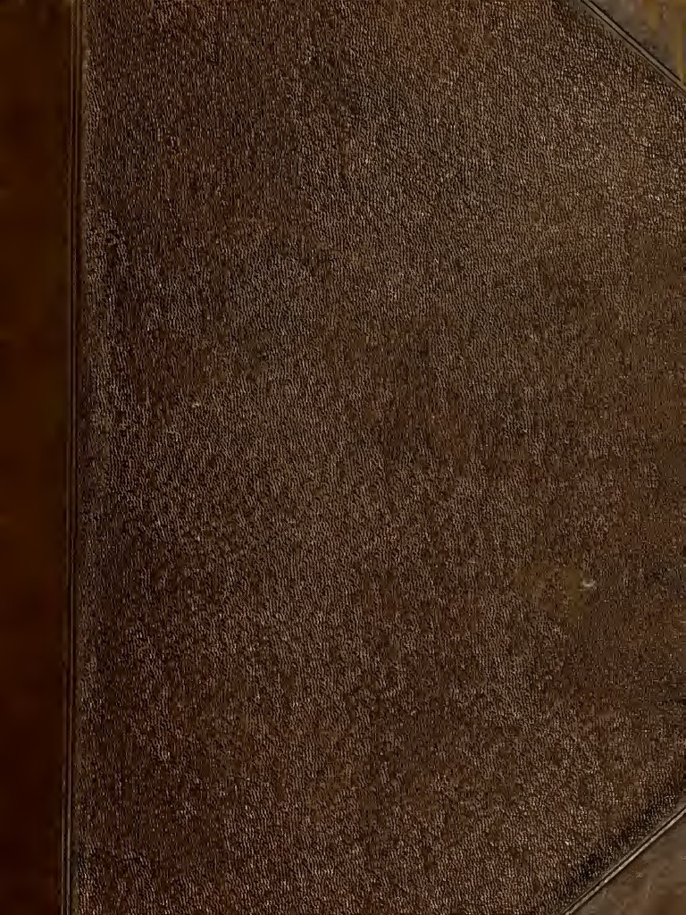 Irish English Dictionary By Edward O Reilly 1864 Irish Language Dictionary