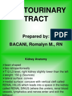 GenitoUrinary_Tract_presentation.ppt