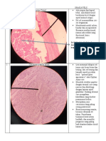 PA ENDO 2017.pdf