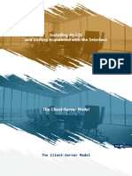 The Client Server Model PDF