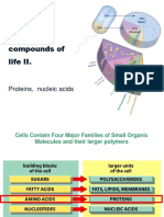 I.4. Peptides, Nucleic AcidsUrbánV Valid