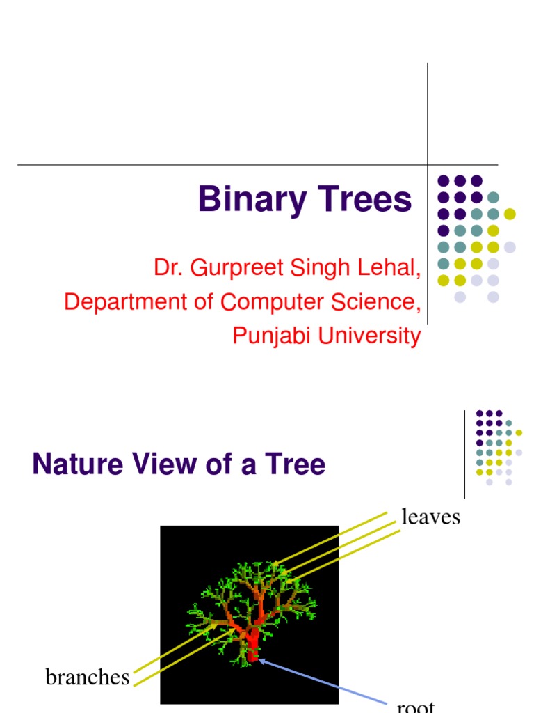 Binary Tree 1 | PDF | Computer Programming | Computer Data