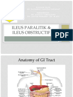 Lapkas Ileus