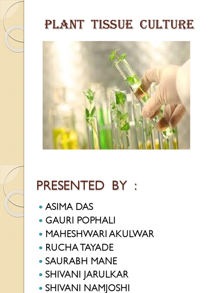 Plant Tissue Culture | PDF | Cell Culture | Sterilization (Microbiology)