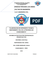 INFORME DE PRACTICAS PRE PROFESIONAL I - copia.docx