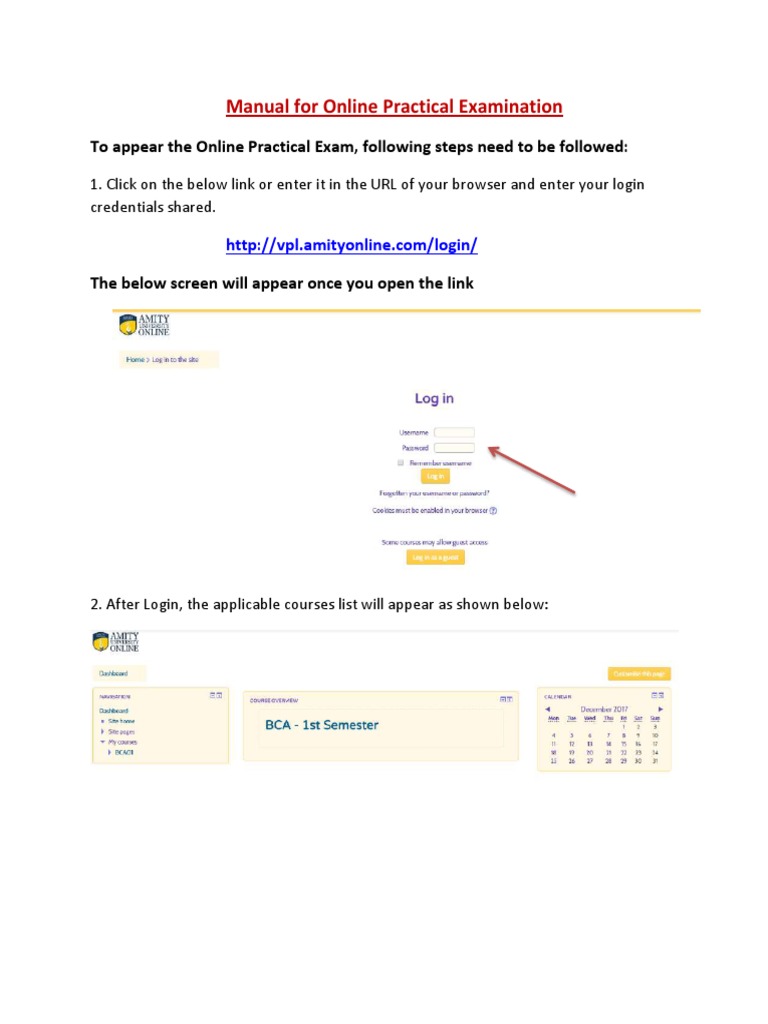 Online Practical Exam Submission Guide | PDF | Career & Growth