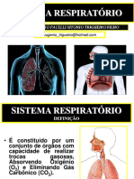 06 Sistema Respiratório.pdf