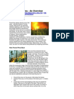 Forest Fires - An Overview