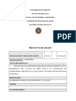 Sustratos Proyecto PDF