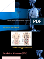Anatomical Template 16x9