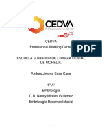 Cedva 9