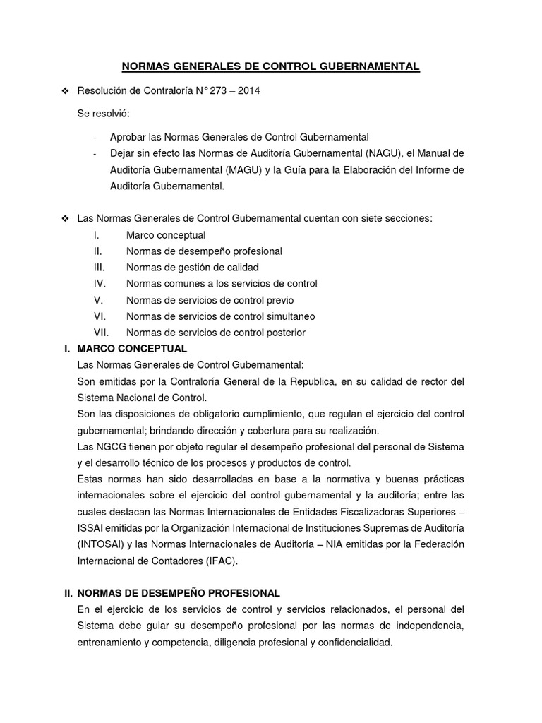 Normas Generales de Control Gubernamental | PDF | Auditoría | Planificación