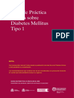 GPC_513_Diabetes_1_Osteba_compl.pdf