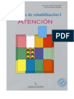 Estevez y Garcia 2005 Ejercicios de Rehabilitacion Atencion PDF