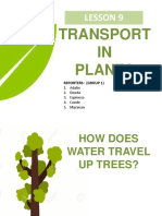 Transport IN Plants: Lesson 9