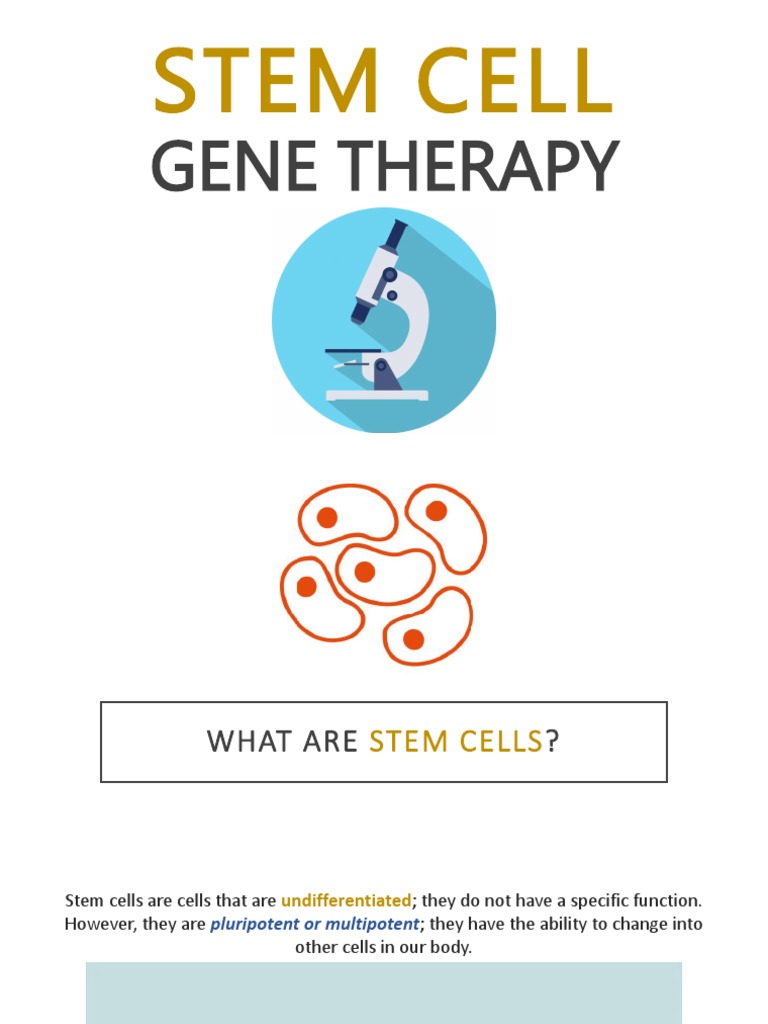 Understanding Stem Cell Gene Therapy | PDF | Self-Improvement | Wellness