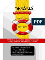 FITzUiCI ROMAnA.pdf