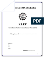 CASE STUDY Format (E &E) PDF