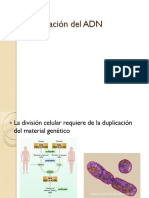 Replicacion Del ADN PDF