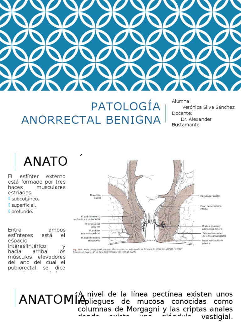 Patología Anorrectal Benigna | PDF | Hemorroides | Especialidades Medicas
