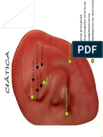 CI%80%A0%A6%C1TICA[1].pdf