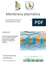 Membrana Celular y Plasmatica