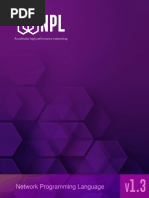 Network Programming Language (NPL)