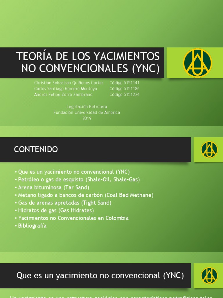 Introducción y Tipos de Yacimientos No