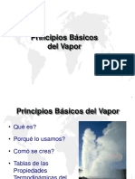 Fundamentos Del Vapor