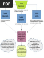 Control Experimental