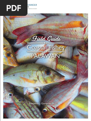 Field Guide Coastal Fishes Pdf Aquatic Animals Fish