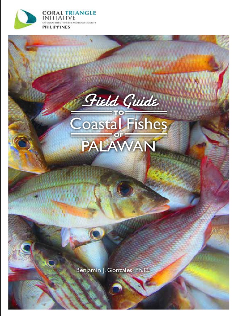 Field Guide Coastal Fishes Pdf Aquatic Animals Fish