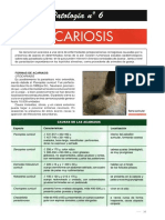Art. Ficha de Patologia N6 Acariosis