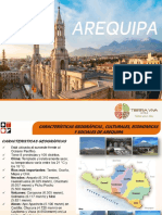 Resumen INFOGRAFICO AREQUIPA