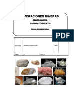 Laboratorio 10 Rocas Sedimentarias