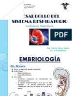 Desarrollo Del Sistema Respiratorio