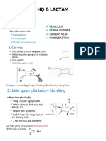 HỌ Β LACTAM