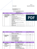 Planificare Dirigentie V