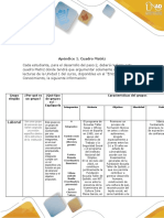 Paso 2 - Apéndice 1 - Cuadro Matriz (1)