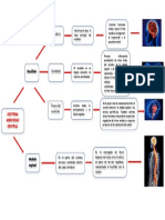 SISTEMA NERVIOSO CENTRAL.docx