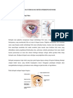 Anatomi Dan Fisiologi Sistem Persepsi Sem 5 Ibu Yrida