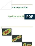 5 Cromosoma