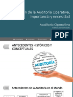 Auditoria Operativa