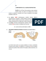 Componentes de La Cadena Respiratoria.docx Bioqyuimica Magdalena