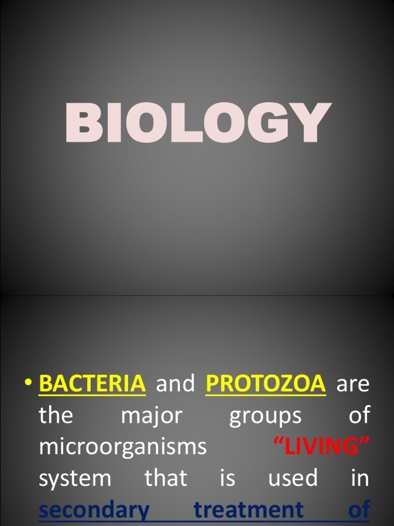Bacteria Pdf Bacteria Microbiology