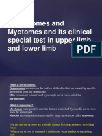 specialtestfordermatomesandmyotomes-140810044245-phpapp02.pdf