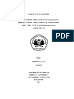 Proil Parasetamol PDF