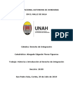 Derecho de Integracion 