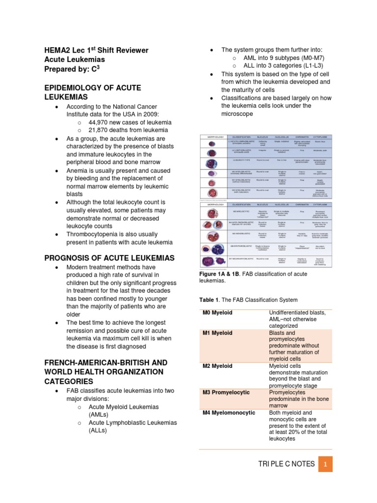 19 Acute Leukemias | PDF | Leukemia | White Blood Cell